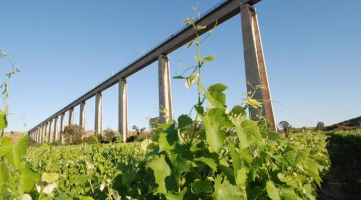 Melkboomsdrift Guest House & Conference Centre