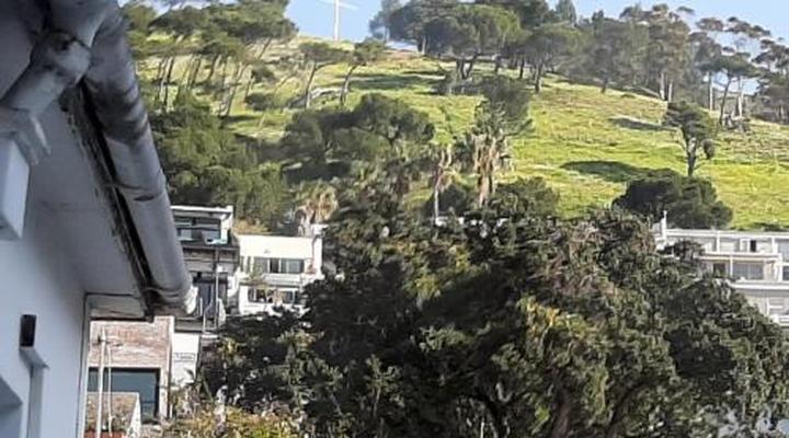 The Greenhouse Guesthouse