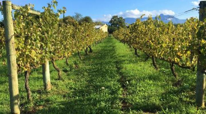 De Doornkraal Historic Country House