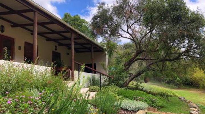 Frog Mountain Getaway