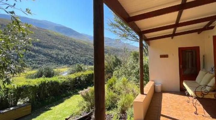 Frog Mountain Getaway