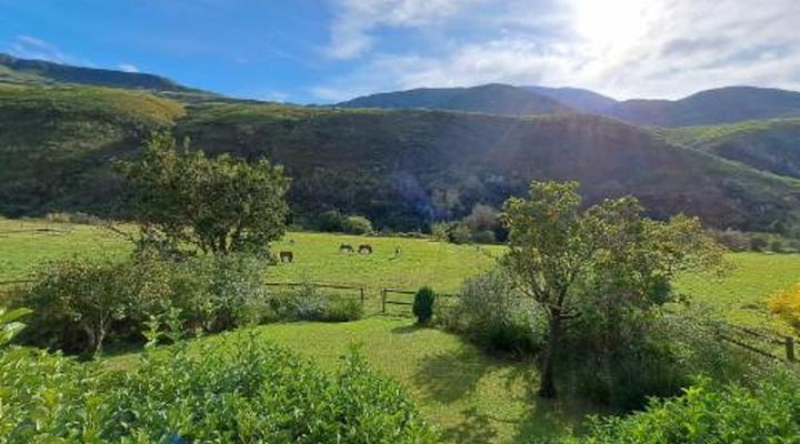 Frog Mountain Getaway