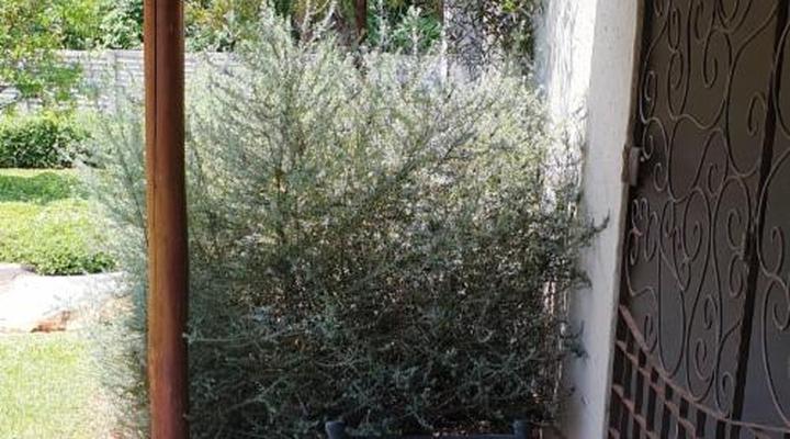 Haggards Hilldrop B & B