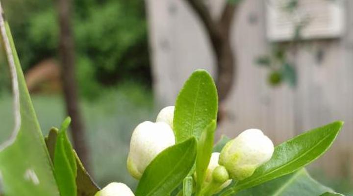 Haggards Hilldrop B & B