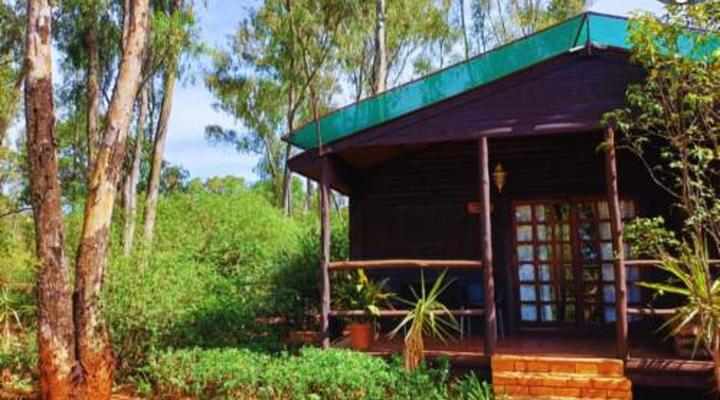 Woodland Gardens Pet Friendly Self Catering