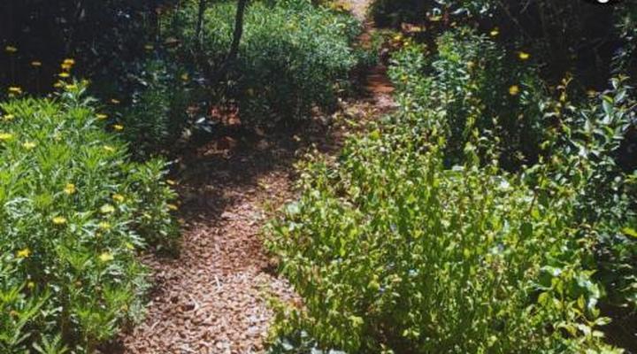 Woodland Gardens Pet Friendly Self Catering