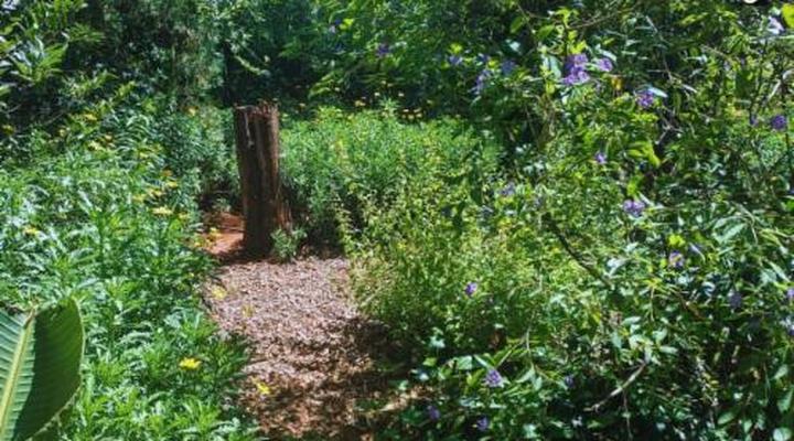 Woodland Gardens Pet Friendly Self Catering