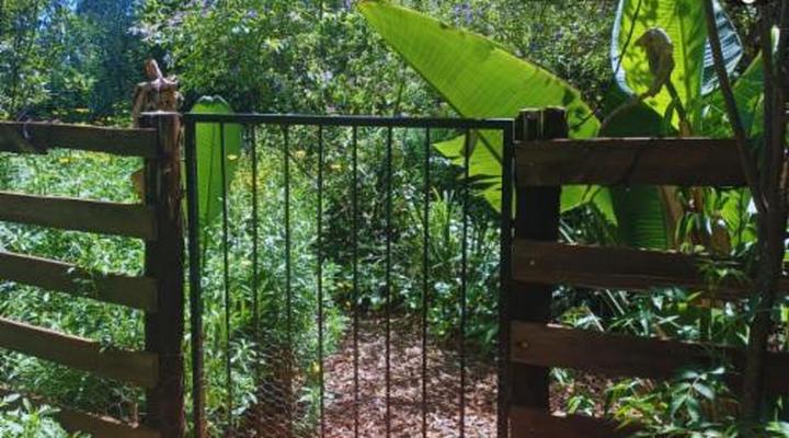 Woodland Gardens Pet Friendly Self Catering