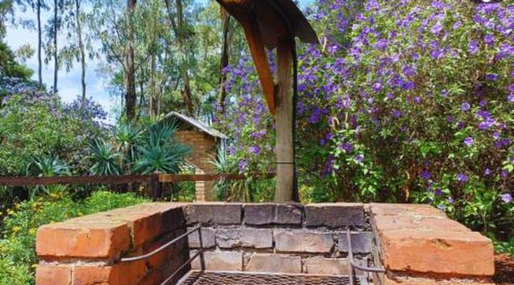 Woodland Gardens Pet Friendly Self Catering