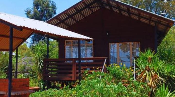 Woodland Gardens Pet Friendly Self Catering