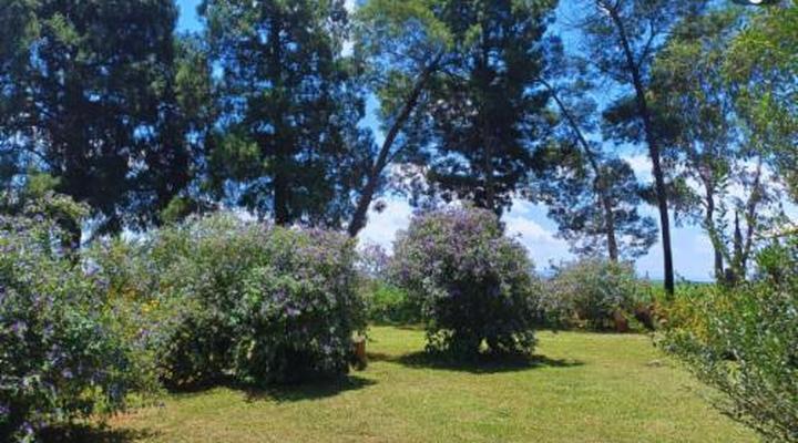 Woodland Gardens Pet Friendly Self Catering