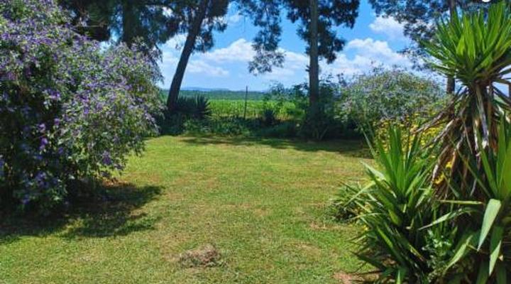 Woodland Gardens Pet Friendly Self Catering