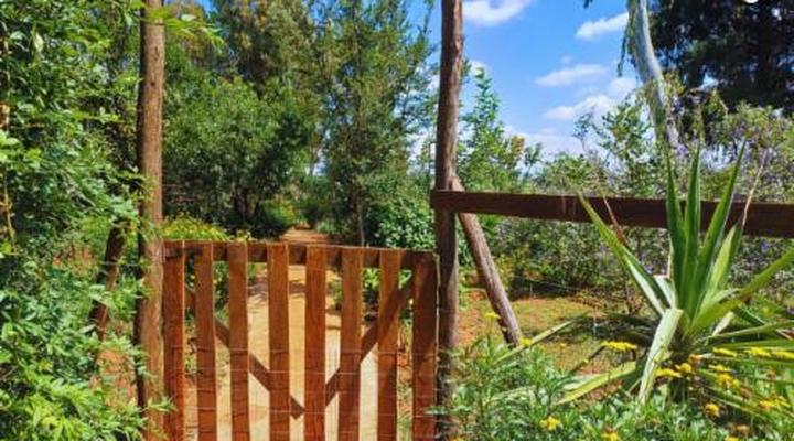 Woodland Gardens Pet Friendly Self Catering