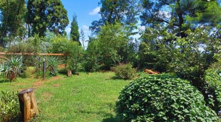 Woodland Gardens Pet Friendly Self Catering