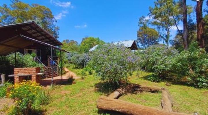 Woodland Gardens Pet Friendly Self Catering