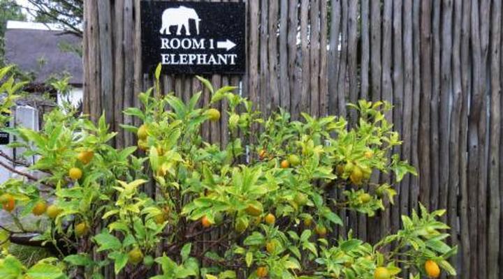 Easy Five Guest House