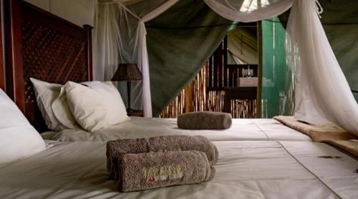 Taranga Safari Lodge