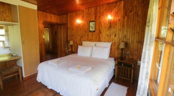 Mountain Fly Fishing