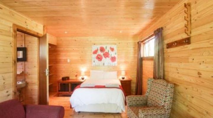 Mountain Fly Fishing