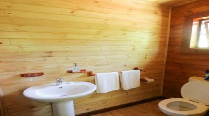 Mountain Fly Fishing