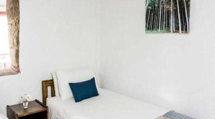 Mountain Fly Fishing