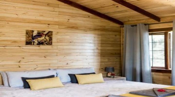 Mountain Fly Fishing