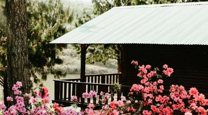 Mountain Fly Fishing