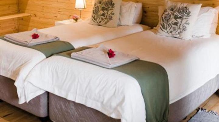 Mountain Fly Fishing