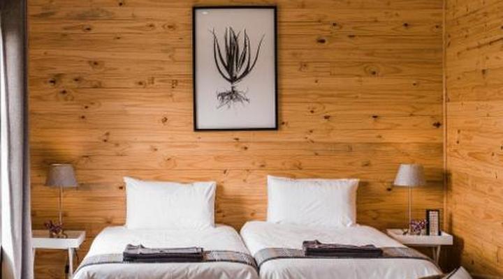 Mountain Fly Fishing