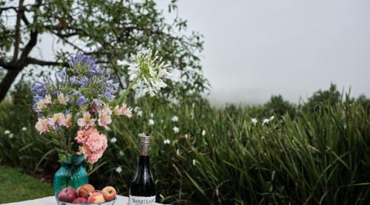 La Luna @ Misty Mountains