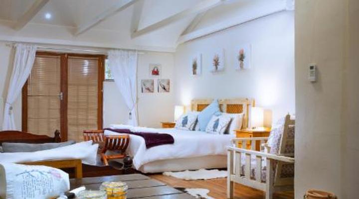 Morning Glory Cottages