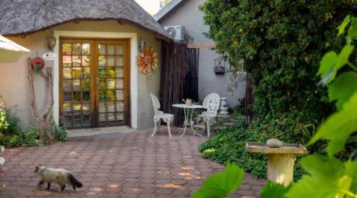 Morning Glory Cottages