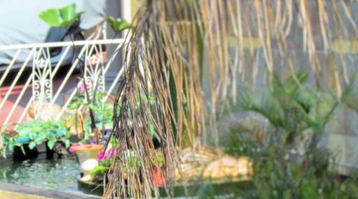 Egyptian Sands Guest House