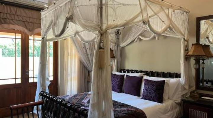 Lazy Lizard Guest House