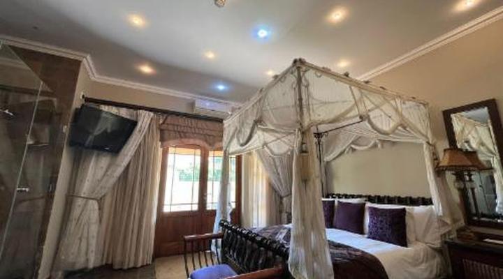 Lazy Lizard Guest House