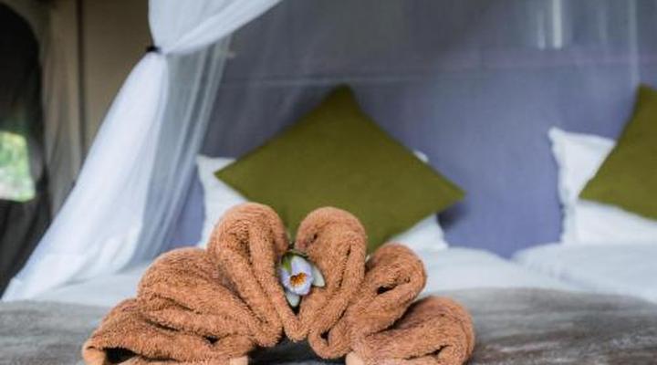 Nkasa Lupala Tented Lodge