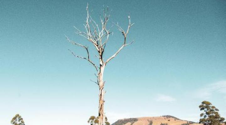 The Knoll Guest Farm