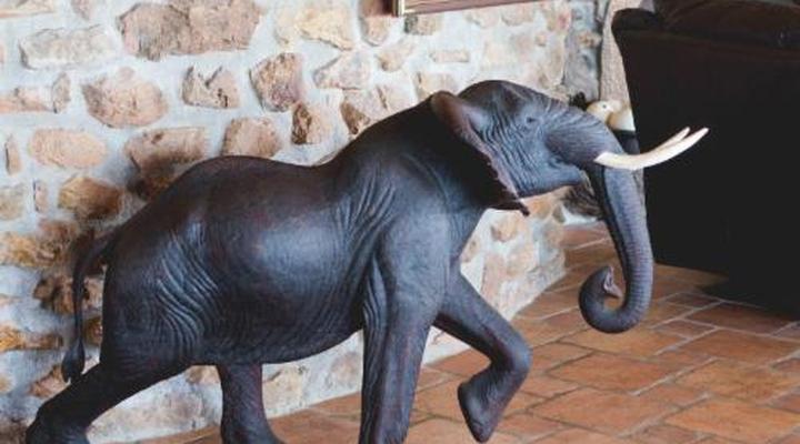 Mount Etjo Safari Lodge