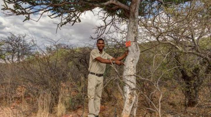 Mount Etjo Safari Lodge