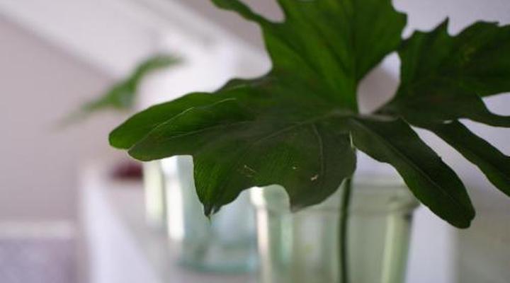 Kuruma Farm Cottages