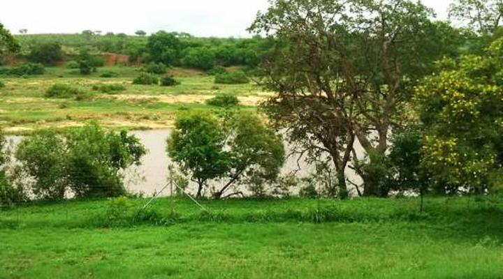 Henk van Rooyen Park