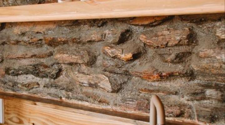 Dassenheuwel Farm Stay