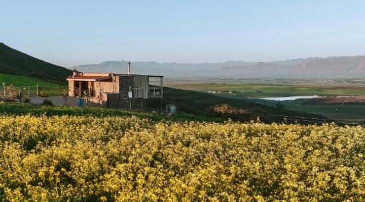 Dassenheuwel Farm Stay