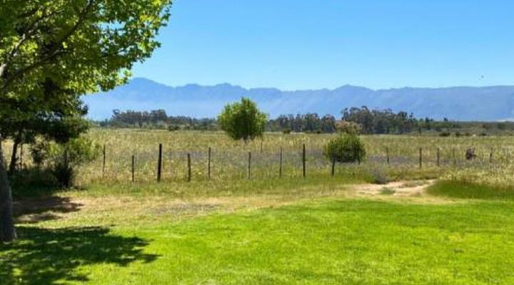 Montpellier De Tulbagh