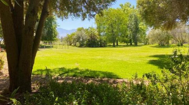 Montpellier De Tulbagh