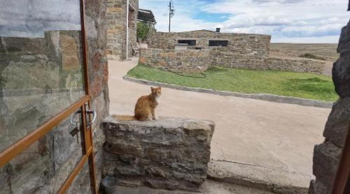 Blesfontein Guest Farm