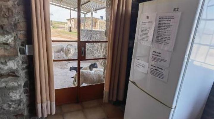 Blesfontein Guest Farm