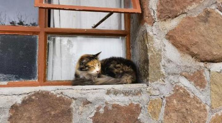 Blesfontein Guest Farm