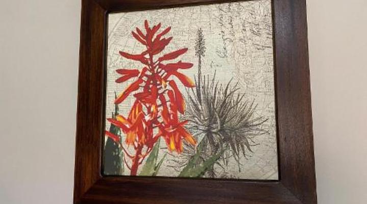 Allegro Guest House - Bloemfontein