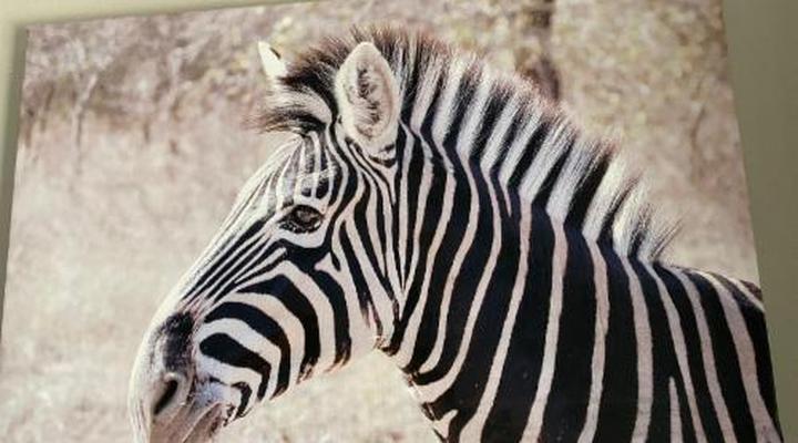 Allegro Guest House - Bloemfontein